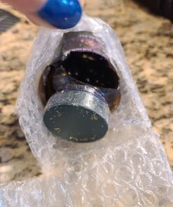 Gaia Herbs Adrenal Health Daily Support - with Ashwagandha, Holy Basil & Schisandra - Herbal Supplement to Help Maintain Healthy Energy and Stress Levels - 120 Liquid Phyto-Capsules (120 Count) 120 Count (Pack of 1) Standard Packaging 19 71ZWmjFuNdL