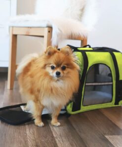 Paws & Pals Airline Approved Pet Carrier - Soft-Sided Carriers for Small Medium Cats and Dogs Air-Plane Travel On-Board Under Seat Carrying Bag with Fleece Bolster Bed for Kitten Cat Puppy Dog Taxi Green 36 71ZXs9BT0UL
