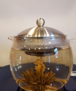 Teapot with Infuser for Loose Tea - 40oz, 3-4 Cup Tea Infuser, Clear Glass Tea Kettle Pot with Strainer & Warmer - Loose Leaf, Iced Tea Maker & Brewer Standard 48 71ZZ3NpT yL