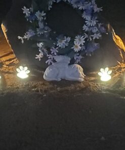 IdeaWorks JB7356 Solar Paw Print Outdoor Lights, Black 33 71ZcqjYNEL