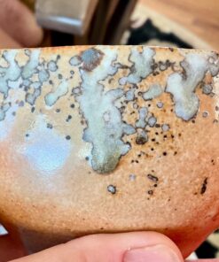 Premium Double Sifted Clean Hardwood Ash (Natural Fertilizer, Aquaponics, Change Soil Ph Levels, Boost Organic Tomato Plants and Compost) 16 Ounce 17 71ZfqVs3ikL