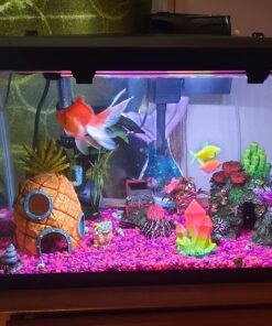 Tetra LED Hood 19.3125 Inches By 9.375 Inches By 2.5 Inches, Low-Profile aquarium Hood With Hidden Lightin, Plastic 20 Inch 22 71Zfv2FJpDL