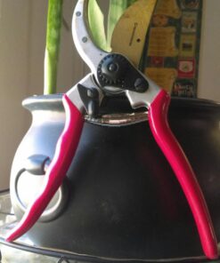 Haus & Garten ClassicPRO 8.5" Bypass Pruning Shears - Premium Garden Shears - Use As Gardening Shears, Garden Clippers, Handheld Heavy-Duty Professional Pruning Shears For Gardening & Pruning Scissors 59 71ZhHfkzGqL