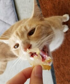 Cat-Man-Doo Extra Large Dried Bonito Flakes Treats for Dogs & Cats - All Natural High Protein Flakes - 4oz. / 112g Bag 4 Ounce (Pack of 1) 49 71ZilwHZ7hL 2