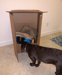 Purina Pro Plan High Protein, Digestive Health Large Breed Dry Dog Food, Chicken and Rice Formula - 34 Lb. Bag Chicken & Rice 34.00 Pound (Pack of 1) 44 71ZkM63eawL