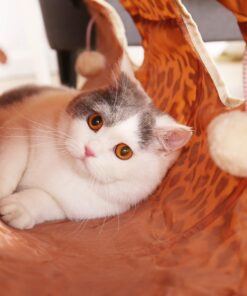 PAWZ Road Cat Toys Collapsible Tunnel Dog Tube for Fat Cat,Rabbits,Dogs Length 51" Diameter 12" Leopard Large-51" 23 71Zplqgw6AL