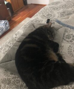 K&H Pet Products Self-Warming Crate Pad, Warming Dog Crate Bed, Machine Washable Dog Crate Mat, Gray X-Small 14 X 22 Inches 22.0"L x 14.0"W x 1.0"Th 38 71Zq3PKwKJL 2