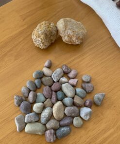 DANCING BEAR Rock, Mineral & Geodes Treasure Hunt Activity Kit (200 Pc Set) Real Shark Teeth Fossils, ID Sheet & Rock Book, STEM Rock, Mineral & Geodes Collection 58 71Ztga0XA4L