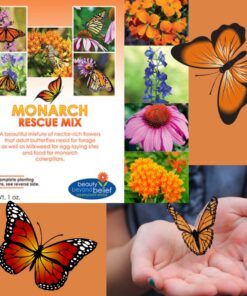 Monarch Butterfly Rescue Wildflower Seed Packet Bulk Open-Pollinated Wildflower, No Fillers, Annuals, Perennials and Milkweed Seeds for Monarch Butterfly1oz 39 71ZwHL6AIhL