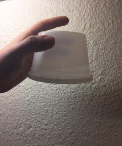 Reditainer Extreme Freeze Deli Food Containers with Lids, 16-Ounce, 36-Pack, 36-Pack, 16 Oz 16 71a4c7RGiYL