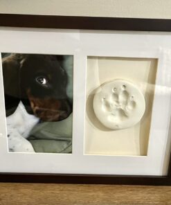 Pearhead Dog Or Cat Paw Prints Pet Wall Frame With Clay Imprint Kit, Pet Sentiment Keepsake Frame, Pet Memorial Picture Frame, Espresso 4 x 6" 29 71a5 FRZ9gL