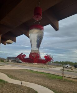 Perky-Pet 245L Ant Guard for Hummingbird & Oriole Feeders - Protects Nectar From Ants, Red, Pack of 1 25 71aA7WCff4L 2