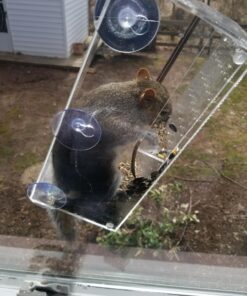 Window Bird Feeder with Strong Suction Cups, Clear Window Bird Feeders for Outside - Transparent Bird House, Balcony Glass Mount, Acrylic Cat, Kids & Elderly Viewing Clear Bird Feeder for Window Perch Large Ranch 40 71aA80bF8oL