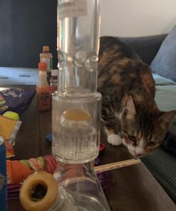 Formula 420 Cleaner - Pyrex, Glass, Metal and Ceramic - 12 Oz. Bottles. 2 Pack 35 71aBQtwvEqL