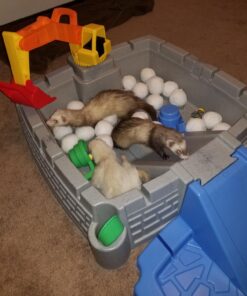 Little Tikes Big Digger Sandbox, White 41 71aBoPpAJKL