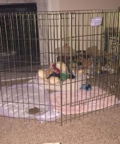 MidWest Homes for Pets Foldable Metal Dog Exercise Pen / Pet Playpen, Gold zinc w/ door, 24'W x 30'H, 1-Year Manufacturer's Warranty 30" H 45 71aCN0DuDhL