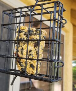 Wildlife Sciences High Energy Suet Cake 10 Pack 30 71aIkzrYk1L 1