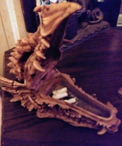 Snarling Magical Dragon Skull Treasure Trinket Box 41 71aK21MjVkL