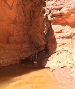 KastKing Dry Bags,100% Waterproof Storage Bags,Military Grade Construction for Swimming,Kayaking,Boating,Hiking,Camping,Fishing, Biking,Skiing A:clear Window Dry Bag-yellow-10l 29 71aKq3wQQJL