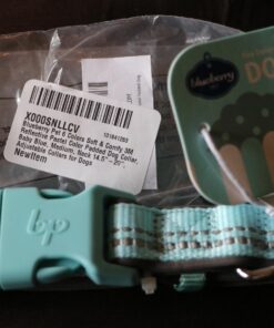 Blueberry Pet Soft & Safe 3M Reflective Neoprene Padded Adjustable Dog Collar - Baby Blue Pastel Color, Medium, Neck 14.5"-20" 50 71aP9vPQViL 1