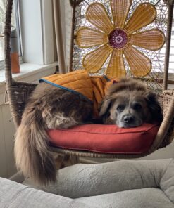 Kurgo Loft Dog Jacket, Reversible Dog Coat, Wear with Harness or Sweater, Water Resistant, Reflective, Winter Coat For Large Dogs (Coastal Blue, L) Coastal Blue/Orange 42 71aPoN6d8VL