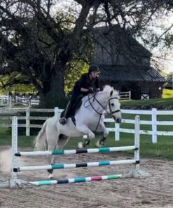 iImagine Vinyl Permanent Vinyl, 72 Pack Permanent Adhesive Vinyl Sheets (12”x 12”) for Silhouette Cameo and Any Craft Machine Cutters Multicolor 44 71aRYmTSnnL