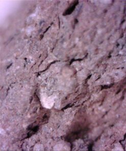 Vividia USB Digital Borescope Microscope with Professional Multi-Functional Metal Stand 12mm Diameter OTG Android and USB PC 30 71aS6ZwPNvL