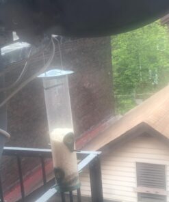 12 Inches Tube Bird Feeders for Outdoors Hanging, 4 Feeding Ports, Hard Plastic Bird Feeder Outdoor Weatherproof and 4 Inch Steel Hanger, Wild Bird Feeders, Finch Feeder, Bird Feeders Outside Hanging 1 4 Ports 51 71aTSRZ2sJL