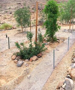 Mat Midwest 308239A YARDGARD,23-Gauge,1/4 in. Mesh, 48 in. x 50 ft. Hardware Cloth, Galvanized 10 71aWLi1gyAL