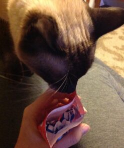 Colgate Wisp Max Fresh Peppermint Mini-Brushes, 24 count 24 Count (Pack of 1) 40 71aXN0QaJYL