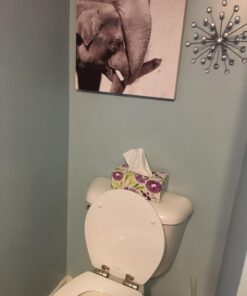 Mayfair 830NISL 000 Toilet Seat, 1 Pack-ROUND, White-Brushed Nickel Hinges 1 Pack - ROUND White - Brushed Nickel Hinges 41 71adA2wFwL