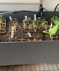 Certified Organic Vegetable Seeds for Planting Outdoors - 13 Seed Variety Pack of Veggie Heirloom Seeds Non GMO Organic Non Hybrid Open Pollinated for Home Garden - Tomato, Broccoli, Carrots, Fruit 45 71adn8Oz 7L