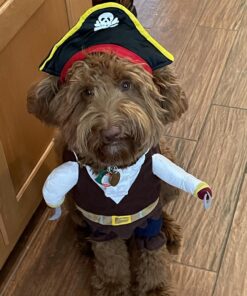 NACOCO Pet Dog Costume Pirates of The Caribbean Style (Medium) Medium Brown 37 71afGCWJM7L