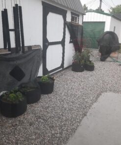 VIVOSUN 5-Pack 15 Gallon Plant Grow Bags, Heavy Duty Thickened Nonwoven Fabric Pots with Handles Black 15 Gallons 31 71agnABPuLL