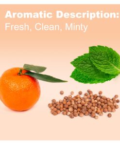 DoTerra - Motivate Essential Oil Encouraging Blend, Peppermint, Clementine, Coriander 5 mL Peppermint, Clementine, Coriander blend 0.17 Fl Oz (Pack of 1) 12 71ajT9JBveL