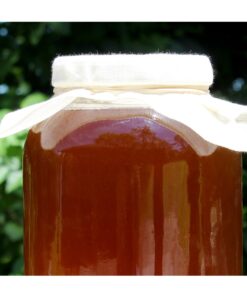 Cornucopia 1 Gallon Glass Kombucha Jar w/Cotton Cloth Cover & Plastic Lid for Storage after Brewing 14 71ajndckc4L