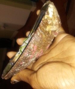 Vrinda ®Abalone Shell and 6'' Wooden Tripod Stand 28 71aknTncBCL