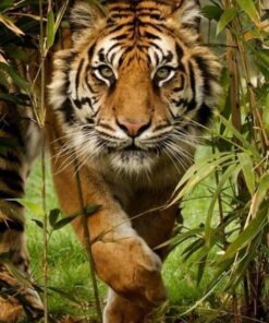 Ailun Screen Protector for iPad Mini 1 2 3 Tempered Glass 9H Hardness 2Pack Compatible with Apple iPad Mini 1 2 3 Ultra Clear 2.5D Edge Anti Scratch Case Friendly 39 71akq010SL