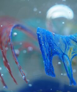 OM SYSTEM OLYMPUS M.Zuiko Digital ED 30mm F3.5 Macro For Micro Four Thirds System Camera, Compact Macro lens, 1.25x Image Maginification, Fast AF, Beautiful Bokeh Base 43 71al9qWzoAL