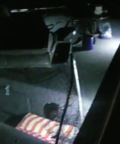 Shangyuan Marine Boat Lights, Utility Led Interior Lights For Boat Deck Courtesy Transom Cockpit Light, 12v Waterproof Marine Lighs For Yacht Fishing Pontoon Boat Sailboat Kayak Bass Boat Vessel, 6Pcs white 47 71alg7YmofL