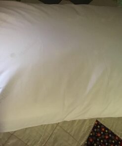 Mediflow Fiber Water Pillow - Adjustable Pillow for Neck Pain Relief, Pillow for Side, Back, and Stomach Sleepers, The Original Inventor of The Water Pillow, Clinically Proven Bed Pillow (1 Pillow) Single Pack 19 71ao5N2uDL