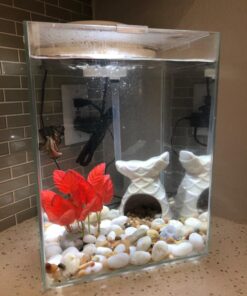 Marina Naturals Red Foreground Silk Plant – Fish Tank Decoration Mimics Live Aquarium Plants Red Small 22 71aqHNHwzBL