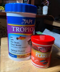 API TROPICAL FLAKES Fish Food 5.7-Ounce Container 5.7 Ounce (Pack of 1) 29 71at7T3 FOL