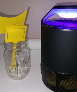 Katchy Indoor Insect Trap - Catcher & Killer for Mosquitos, Gnats, Moths, Fruit Flies - Non-Zapper Traps for Inside Your Home - Catch Insects Indoors with Suction, Bug Light & Sticky Glue (Black) Original Black 43 71atFp8hkL