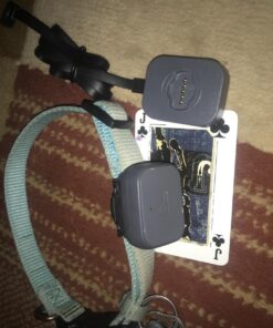 Whistle 3 / GPS Pet Tracker & Activity Monitor / Grey 61 71atooh8o L