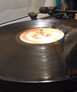 Lungs Lungs 24 71av1S6AILL