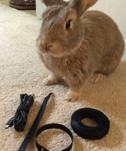 VELCRO Brand ONE-WRAP Cable Ties, 100Pk, 8 x 1/2" Black Cord Organization Straps, Thin Pre-Cut Design, Wire Management for Organizing Home, Office and Data Centers 35 71ax7LoE1L