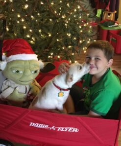 Radio Flyer 3-in-1 EZ Folding Wagon Ride On For Kids, Garden, & Cargo, Red Collapsible Wagon Base 74 71ayKyp1xvL