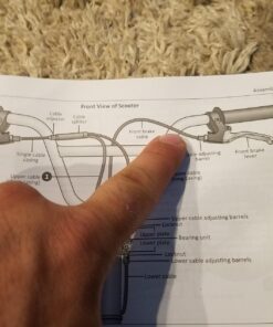 Mongoose Expo Youth Kick Scooter, Suggested for Riders with Ages 6 to 9 Years Old, Max. Weight of 175 lbs., Front and Rear Caliper Brakes, Rear Axle Pegs, 12-Inch Inflatable Wheels Green/Grey 46 71b hcffKQL