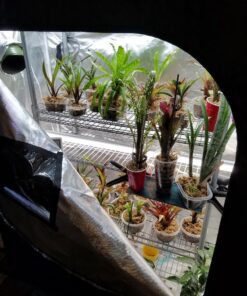 iPower 48"x24"x60" Grow Tent with Observation Window and Removable Floor Tray, Tool Bag for Indoor, 24" x 48" x 60", Black/Silver 24" x 48" x 60" 24 71b0XJ70abL